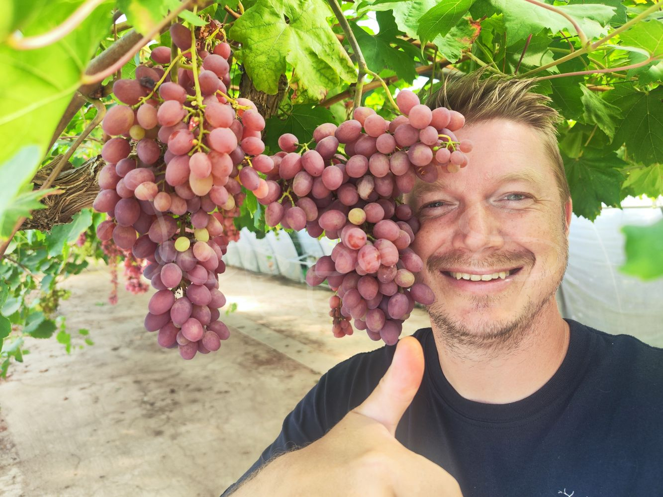 Vindruva - Preoprashenie - Bild 2