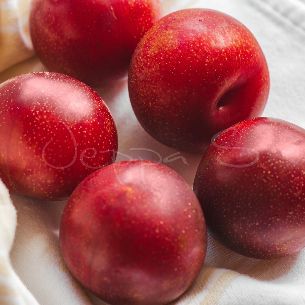 Pluot - Flavor King