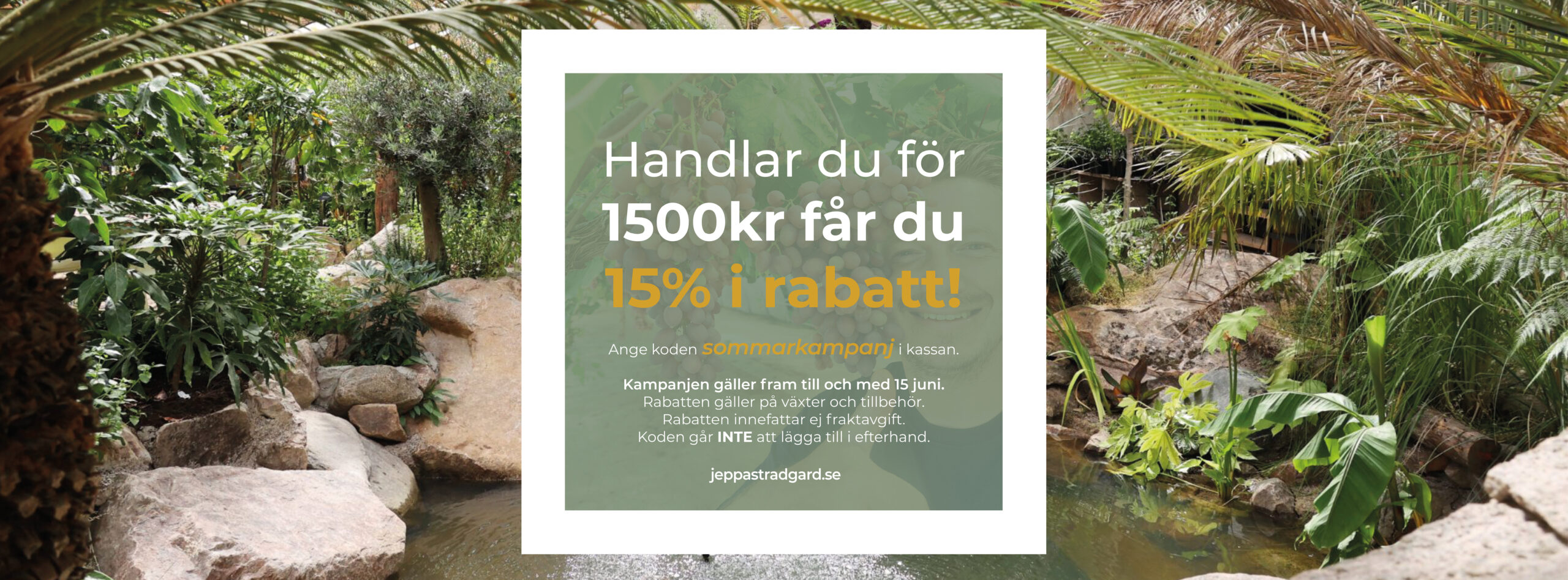 omslagsbild kampanj juni 2026